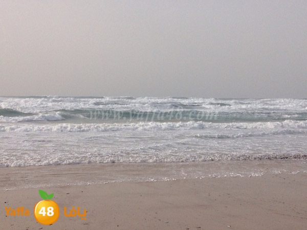 yaffa sea ba7r 3asefa (11).JPG